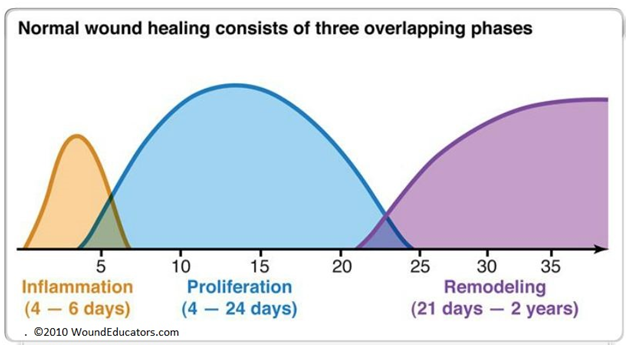 Scar Healing Chart